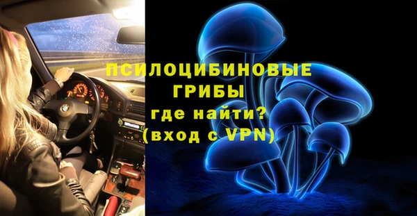 дживик Верея