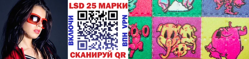 площадка клад  Вязники  Наркотические марки 1,8мг  blacksprut ссылка 