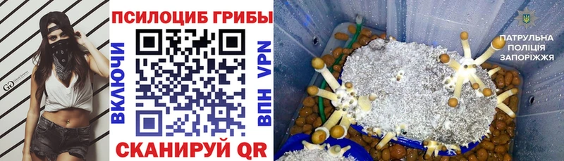 Галлюциногенные грибы MAGIC MUSHROOMS  Вязники 